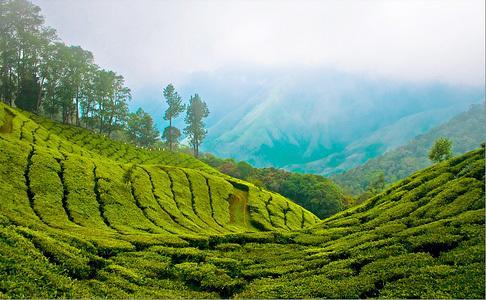 Munnar Dreams Hotel Exterior photo